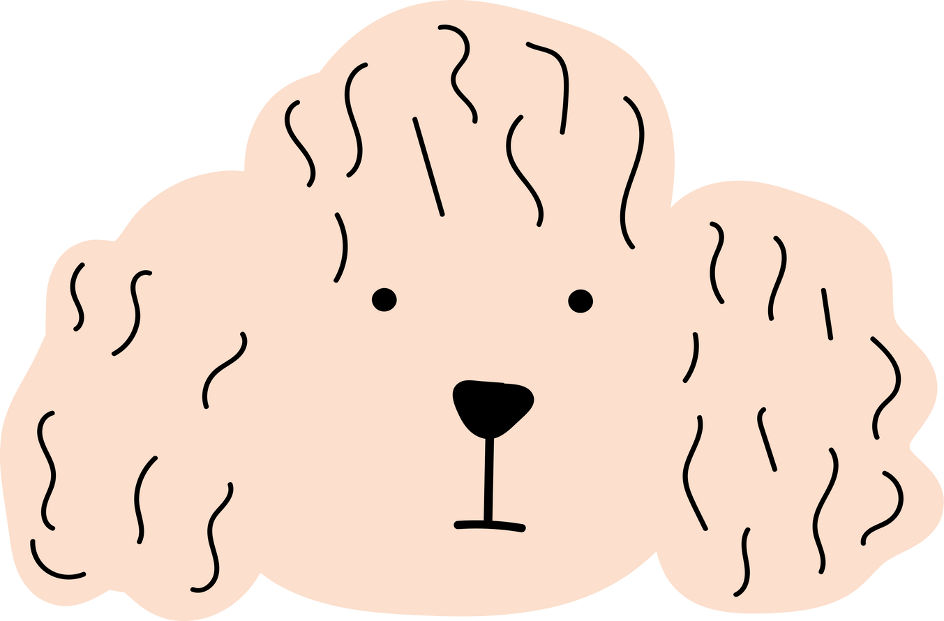 Poodle Face Illustration